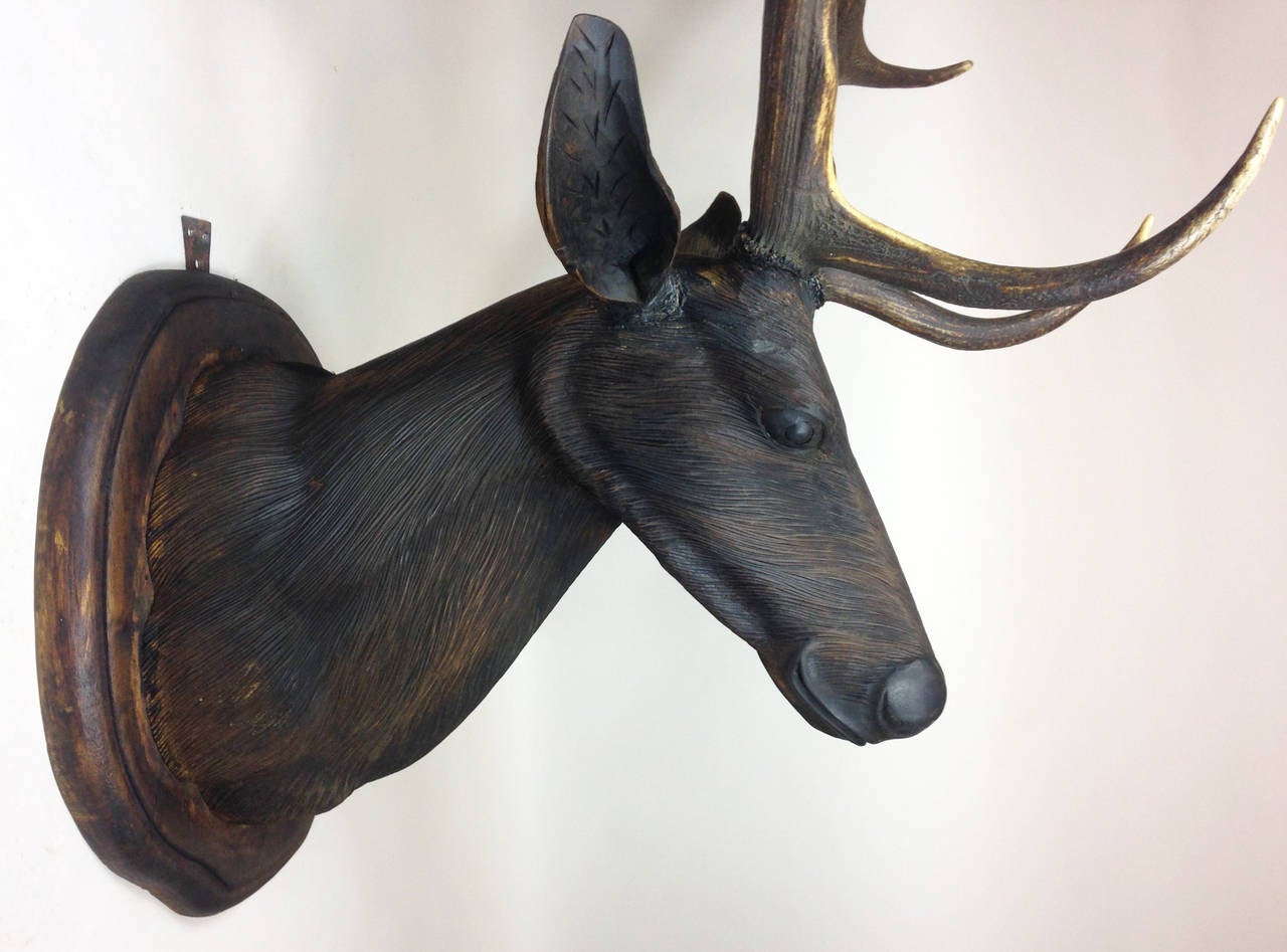 20th Century Full-Sized Black Forest Style Stag Head with Antlers