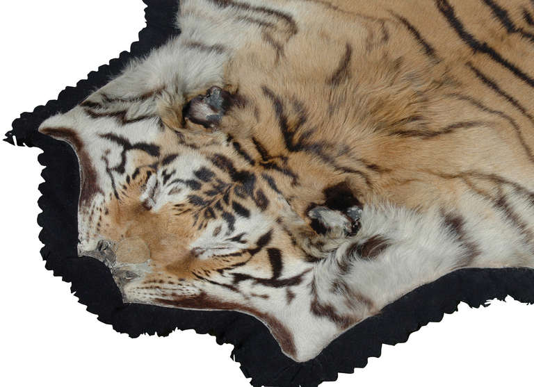 tiger rug with head