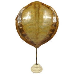 Stunning Late 19th Century Turtle Shell on Brass and Ceramic Stand