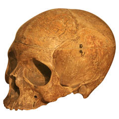 19th Century Medical School Human Skull