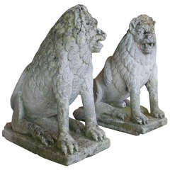 Beautiful and Mysterious Pair  of 19th Century Limestone Lions
