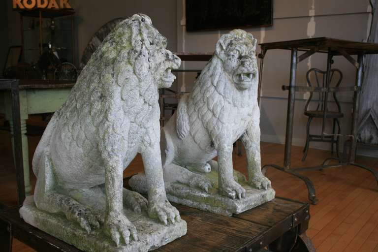 Beautiful and Mysterious Pair  of 19th Century Limestone Lions