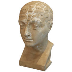 Antique 19th Century French Phrenology Head