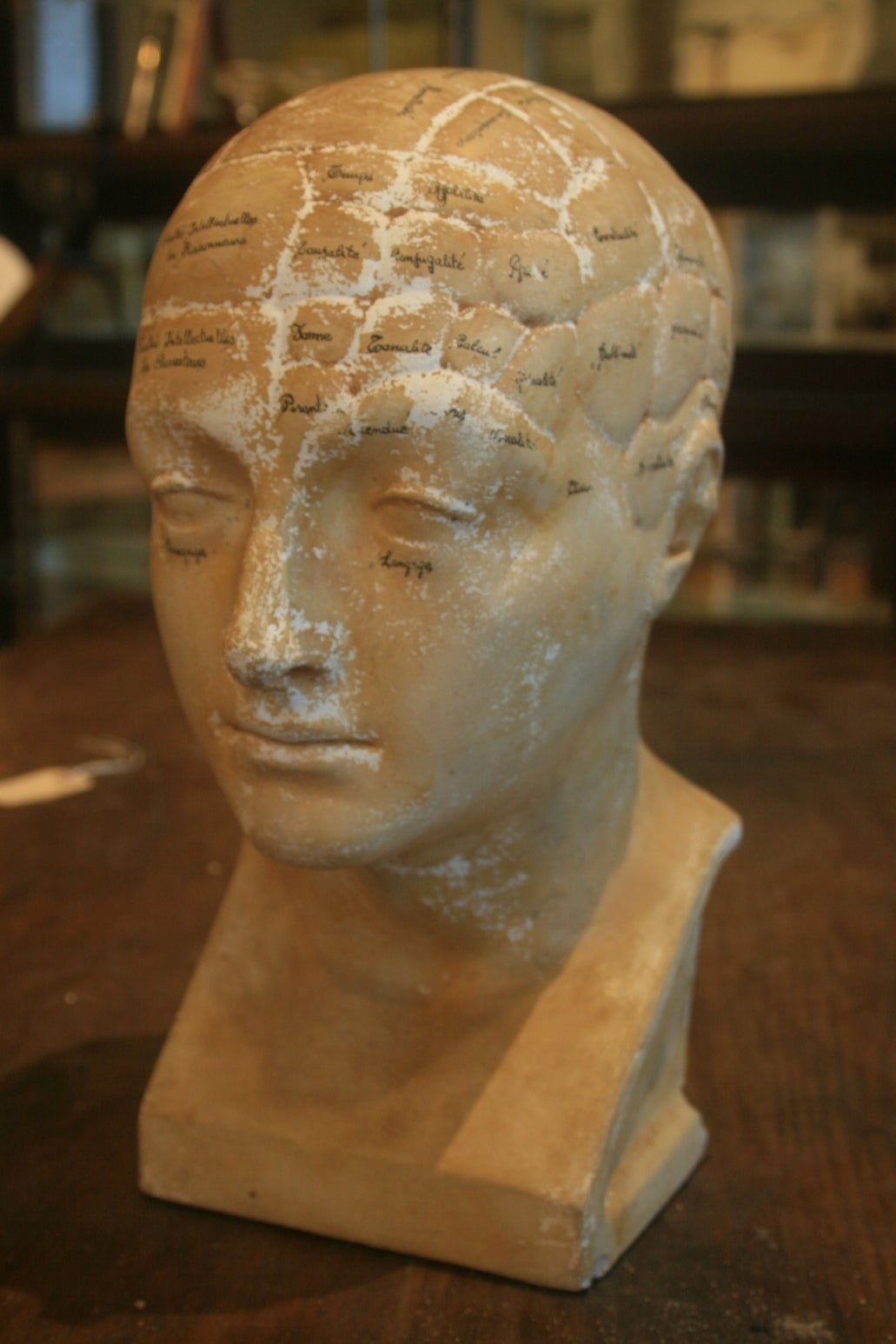 This is a rare French Phrenology head, circa 1850. Some of the tan colored finish over the plaster has worn away as you can see. Made by the M. Boudet Company Paris, imprinted into the plaster on the lower back of the piece. The different sectors of