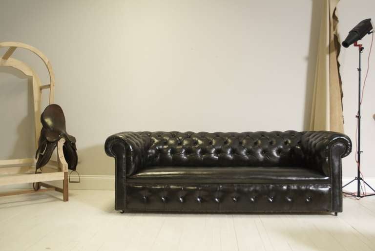 Early 20th Century Chesterfield Sofa, Fully Restored