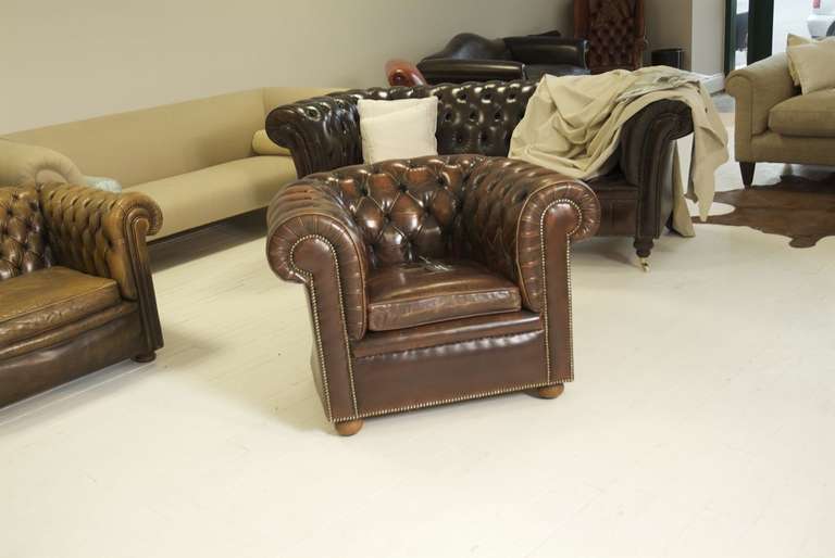 Chesterfield Mid-Century Hand-Dyed Gentleman's Club Chair For Sale