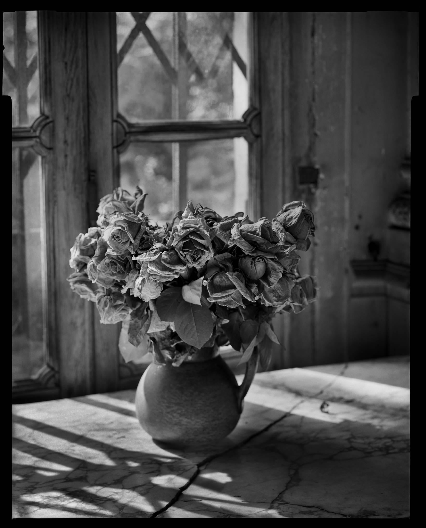 Madame Simon Residence, Paris, France "Dead Roses" - Photograph by Mark Seliger