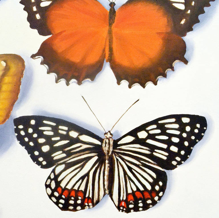 British Large Scale Photo-Realistic Butterfly Painting