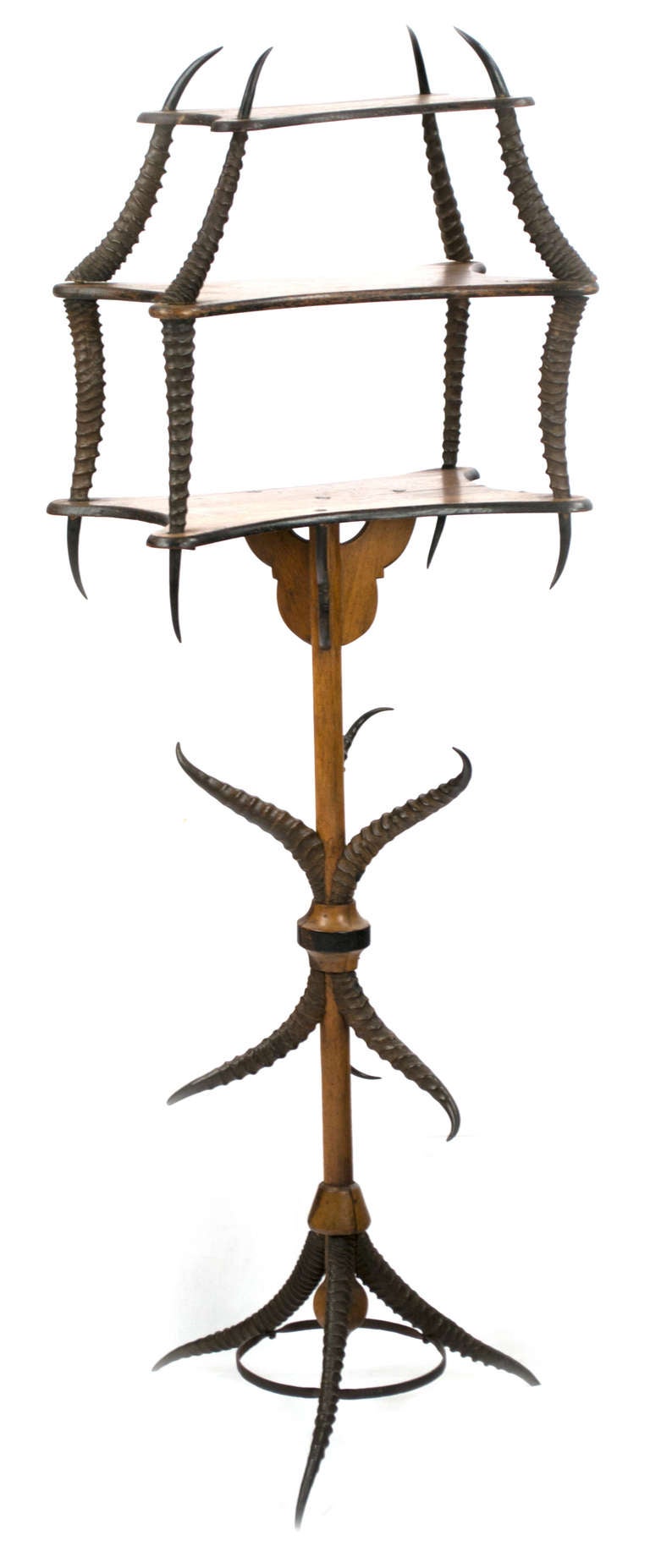 This remarkable stand with shelves, purchased in Lyon, France, uses Gazelle horns as the feet and shelf supports.
