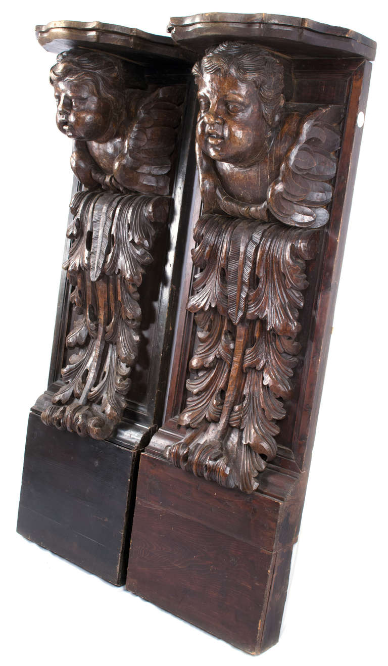 These solid walnut, French carved architectural brackets are very large and  each feature a high-relief sculpture of winged putto (i.e. cherub) resting upon an elaborate acanthus-leaf column.