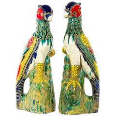 Pair of Polychromed Ceramic Parrots