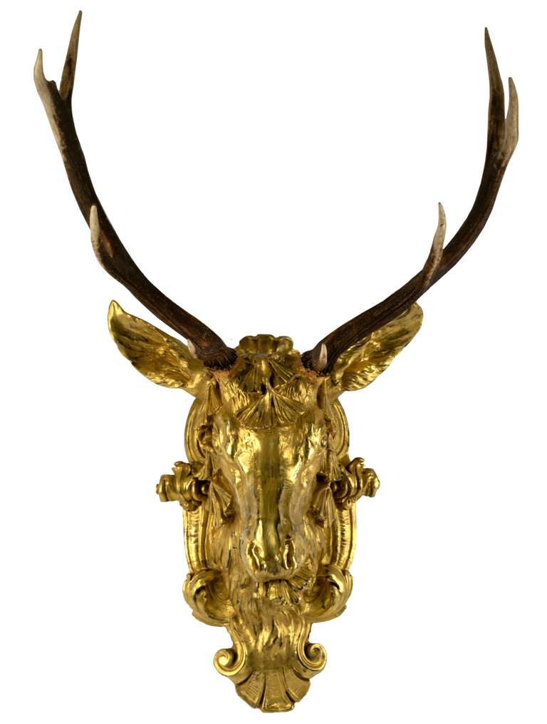 19th Century Red Deer Antlers Mounted on Gilt Stag Head