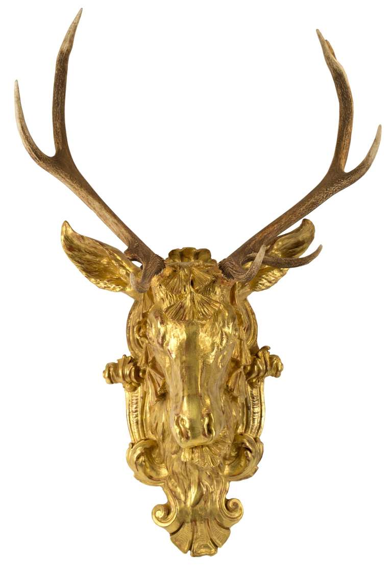 The nineteenth-century rack of a mature Corsican red deer surmounts this gilt head of a buck, chewing a ginkgo leaf. Seventeenth-century Europeans adopted this motif, symbolizing hope and longevity, taken from Japanese ceramics. The head measures
