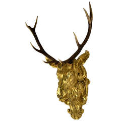 19th Century Red Deer Antlers Mounted on Gilt Stag Head