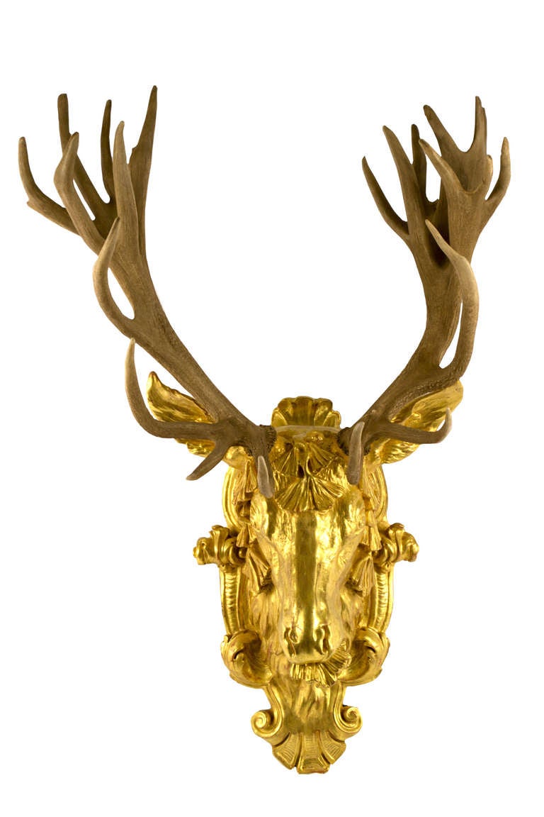 A pair of red-deer horns have been mounted on an 22-karat gold-leafed stag's head.