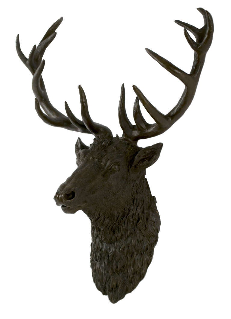 large stag head
