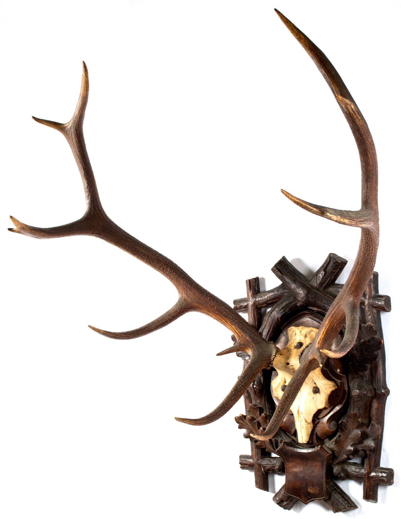 Set of Red Deer Antlers Mounted on a Carved Black Forest Plaque In Good Condition In Salt Lake City, UT