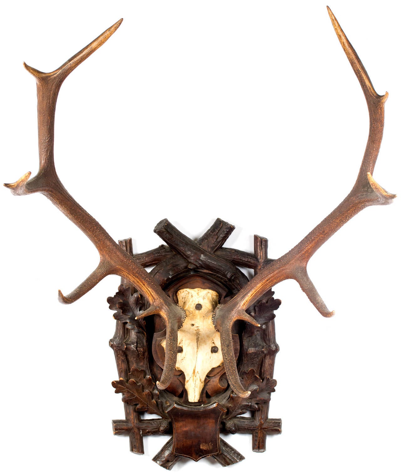 A pair of mature Corsican Red Deer antlers mounted on a linden wood plaque carved with Black Forest motifs of oak leaves and branches.