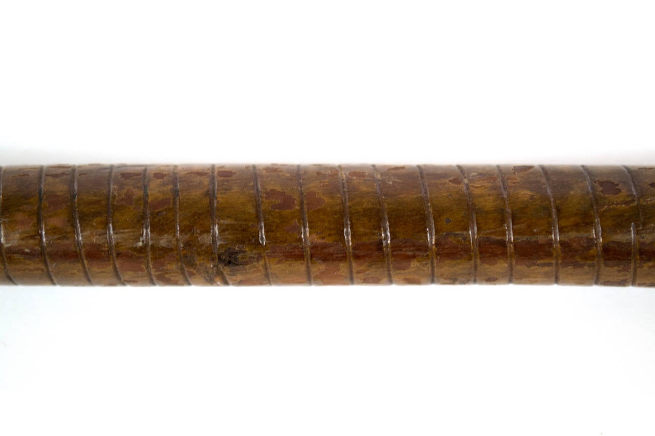An exotic wood cane, featuring intricate carved textures and a lizard wrapped around the center of the walking stick made around the turn of the century.