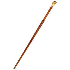 Antler-Topped Walking Stick