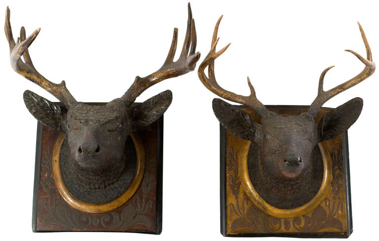 Two carved linden wood, stag heads on carved plaques, decorated with Art-Nouveau foliage; the heads are mounted with two pairs of antlers original to the period and the pieces.