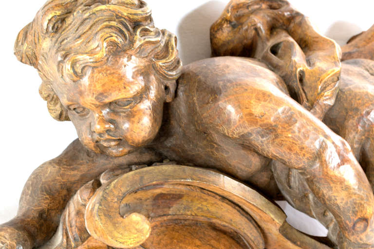 Carved Large French Walnut Sculpture of a Cherub