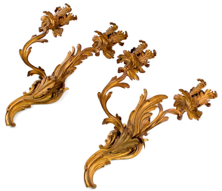 These remarkably sculpted sconces, asymmetrically woven in oracular shapes, are gilt bronze, and made in France during the mid-19th century.