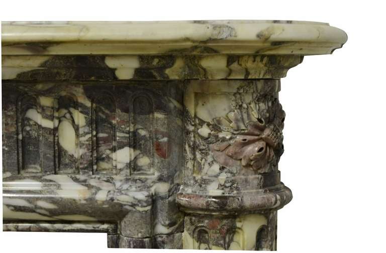 19th Century Rare Louis XVI Breche Violet Marble Fireplace 3