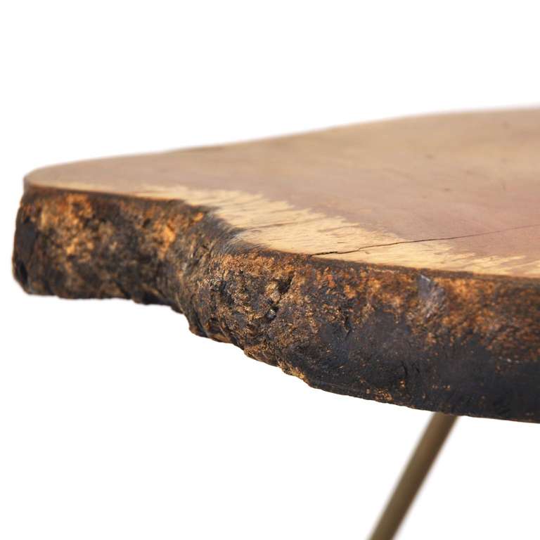 Carl Aubock Tree Trunk Table In Excellent Condition In Vienna, AT