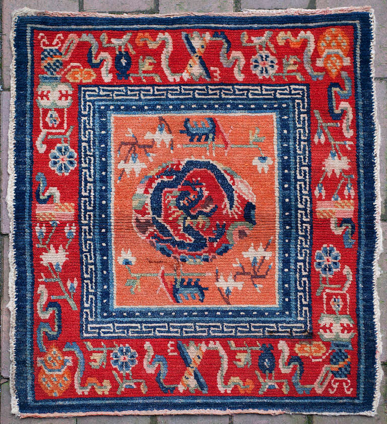

This attractive Tibetan saddle top rug features an energetic little dragon. 

A warm red and orange are the main colors of this playful rug. Tibetans used rugs to bring color into their lives during the long and harsh winters on the Tibetan