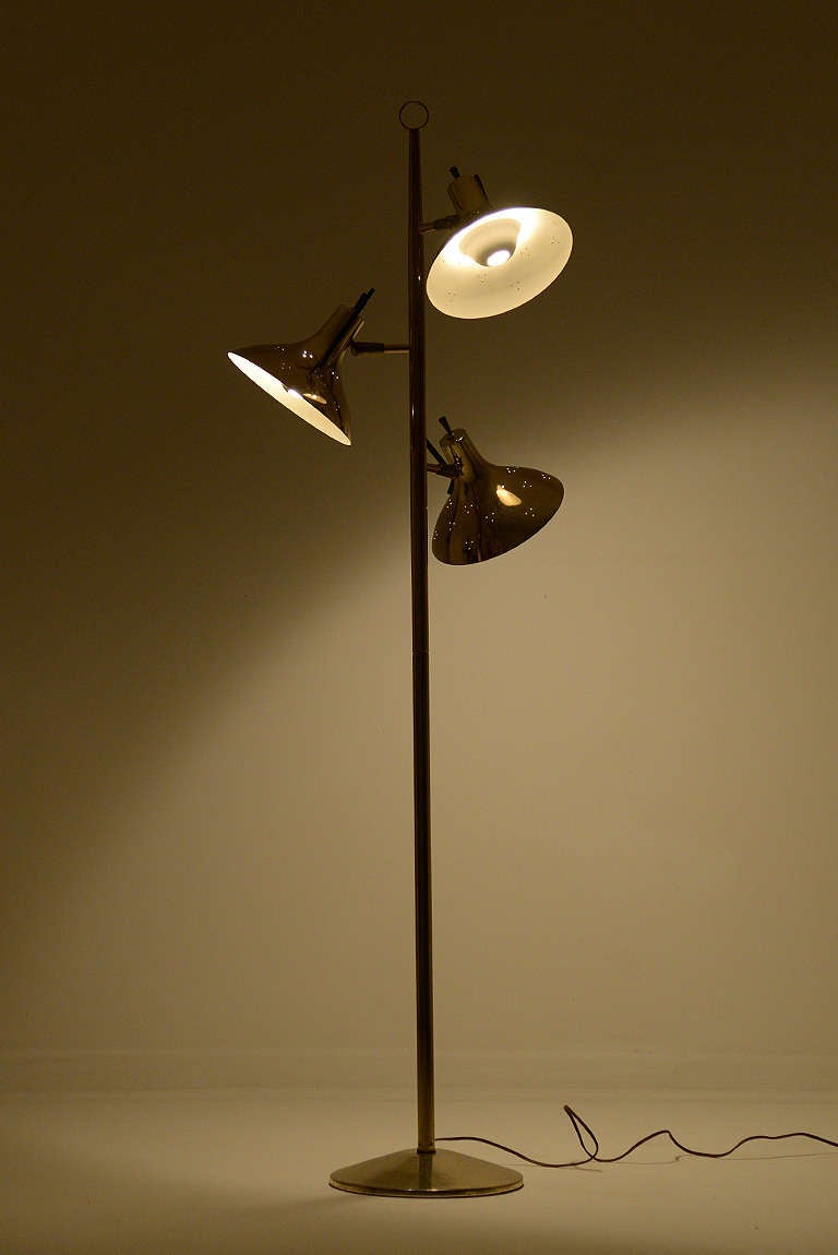 Mid-Century Modern Maurizio Tempestini Floor Lamp
