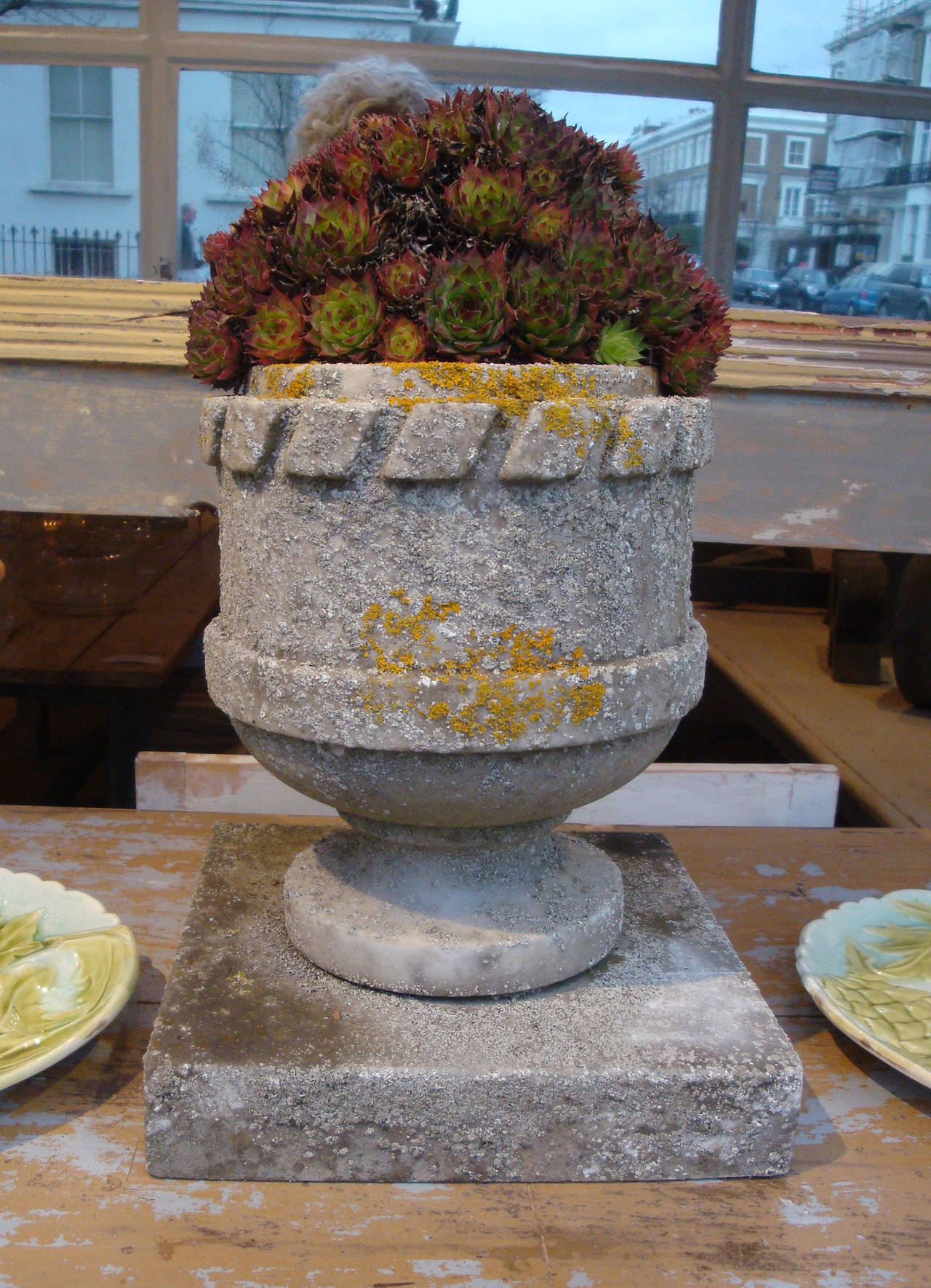 Rare and beautiful English marble urn with nice patination planted with succulent, circa 1810.