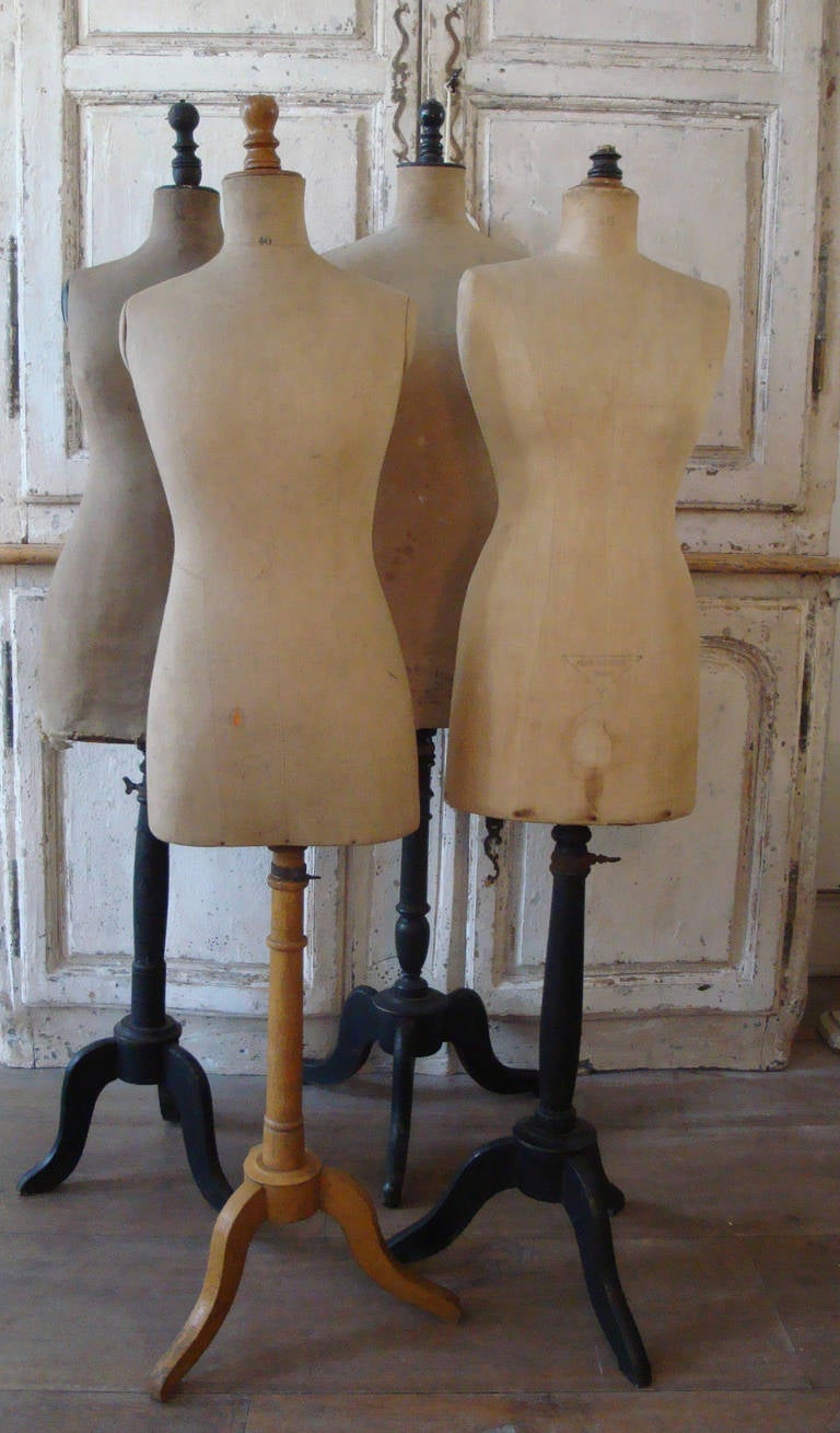 Four French Taylors Dummies