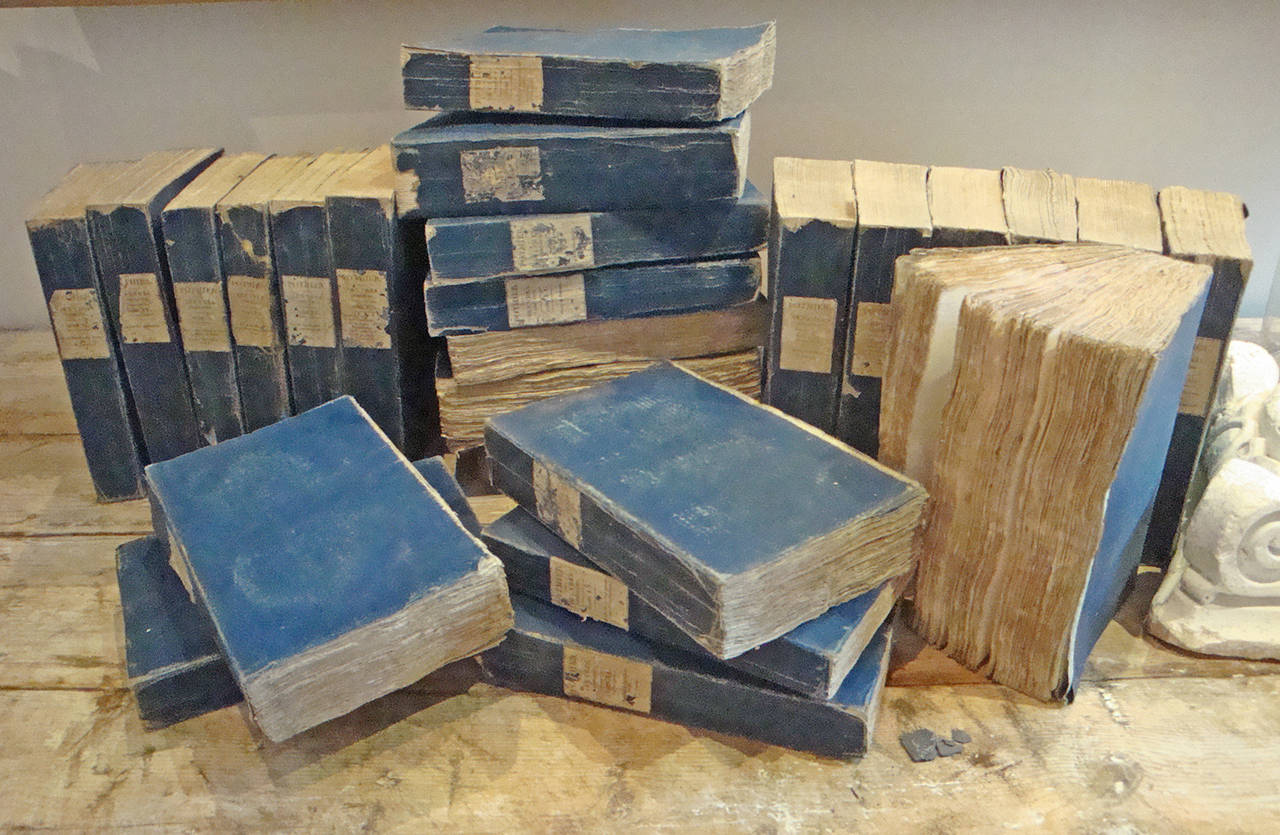 Set of 25 19th Century French Books