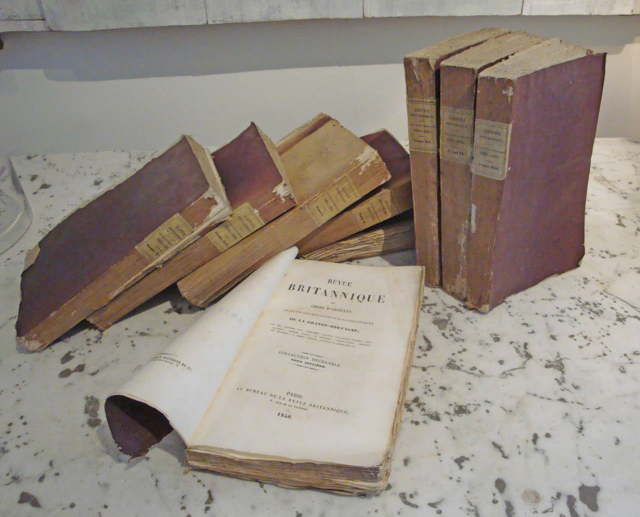 Set of 9 19th century French Books