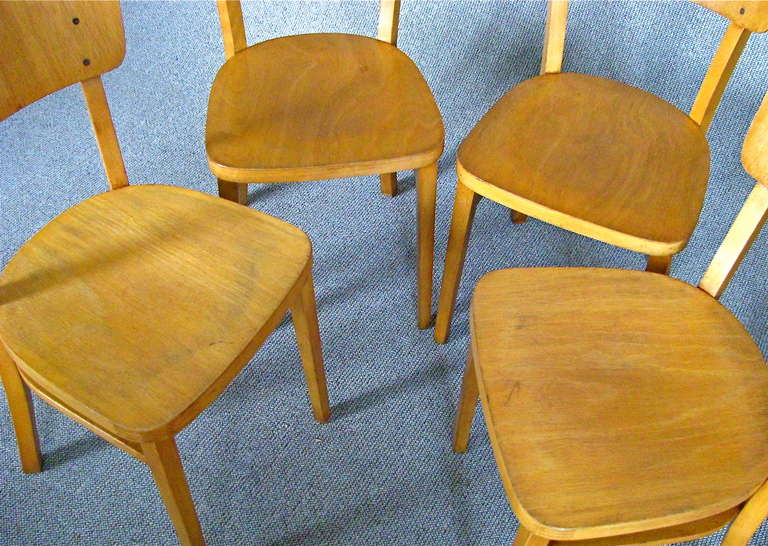 Set of 8 German Mid Century Bentwood Chairs 1950 signed Thonet 1