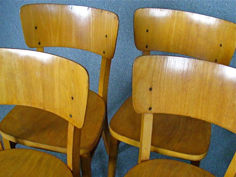 Set of 8 German Mid Century Bentwood Chairs 1950 signed Thonet 2