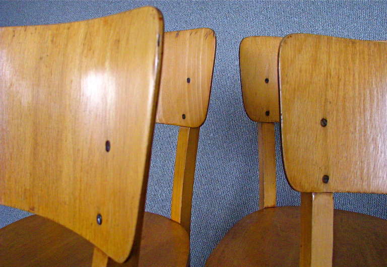 Set of 8 German Mid Century Bentwood Chairs 1950 signed Thonet 3