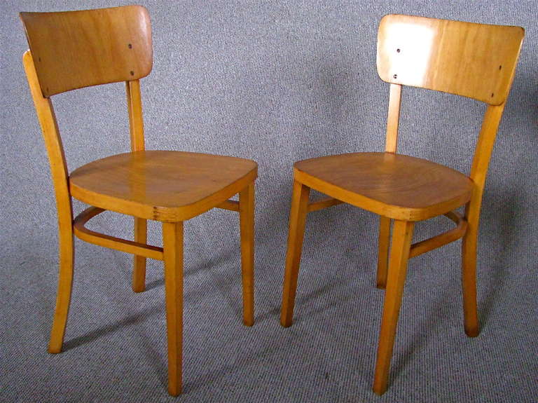 Set of 8 German Mid Century Bentwood Chairs 1950 signed Thonet In Good Condition In Saarbruecken, DE