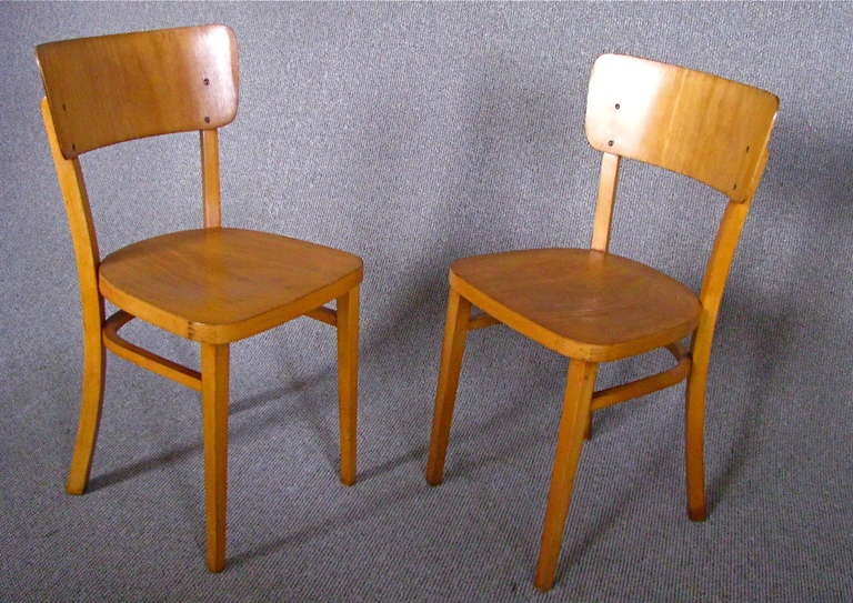 Beech Set of 8 German Mid Century Bentwood Chairs 1950 signed Thonet
