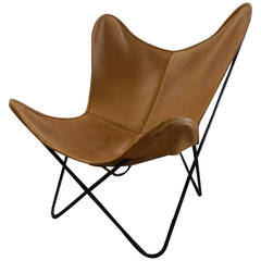 All Original Butterfly Chair by Knoll International