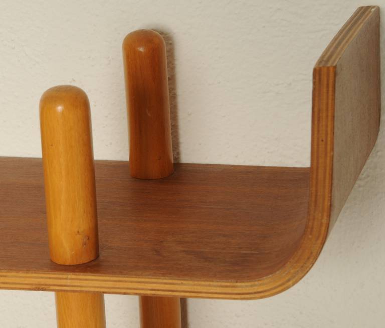 Beautiful Bookcase Designed by Willem Lutjens, 1953 In Good Condition In Munich, DE