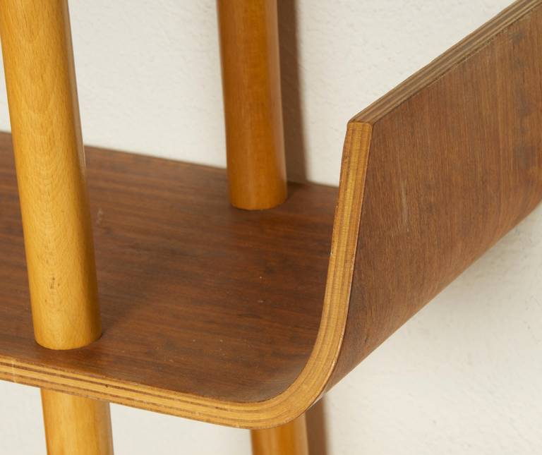 Beautiful Bookcase Designed by Willem Lutjens, 1953 1