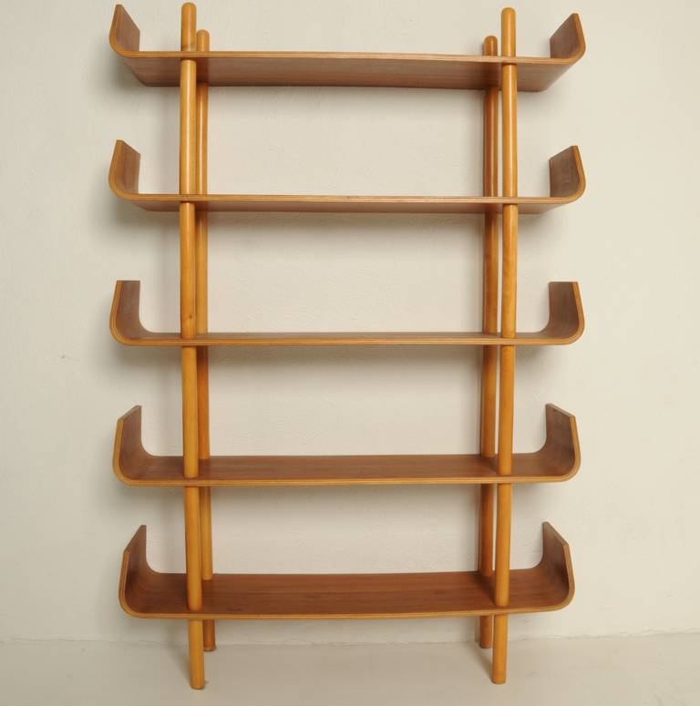 Mid-20th Century Beautiful Bookcase Designed by Willem Lutjens, 1953