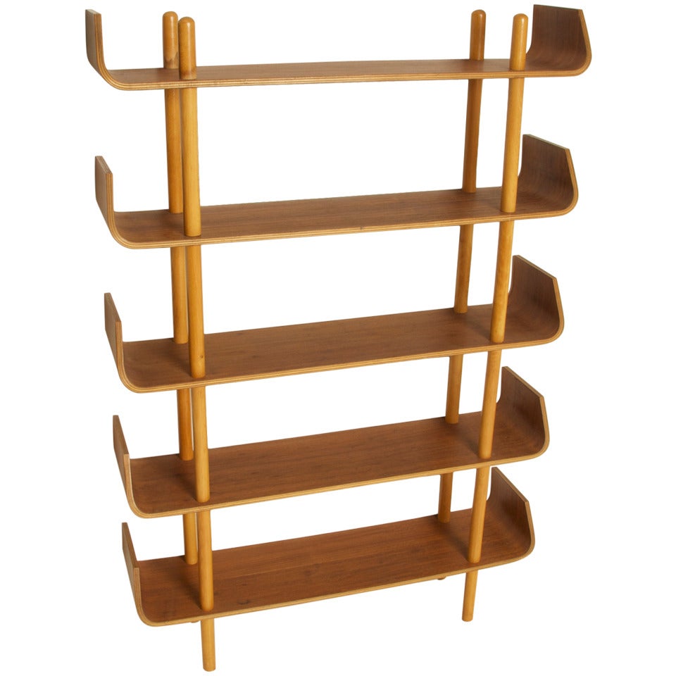Beautiful Bookcase Designed by Willem Lutjens, 1953