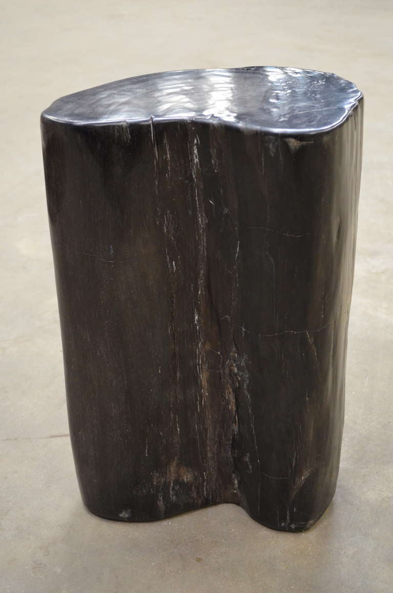 20th Century Petrified Wood Stool/Table