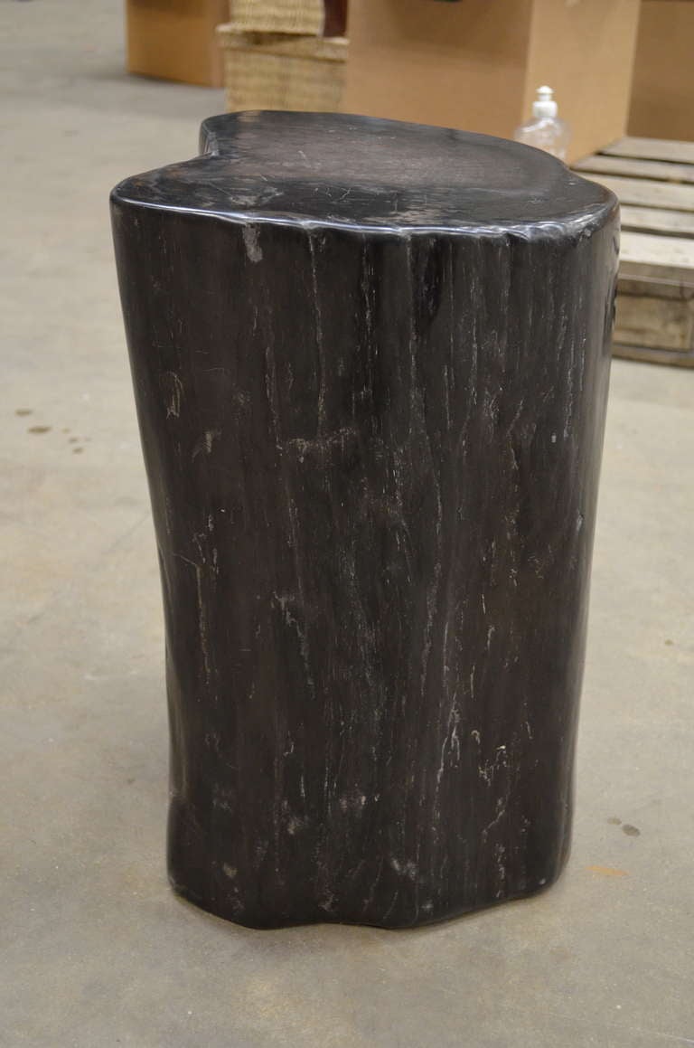 Petrified Wood Stool/Table In Good Condition In Gravenmoer, NL