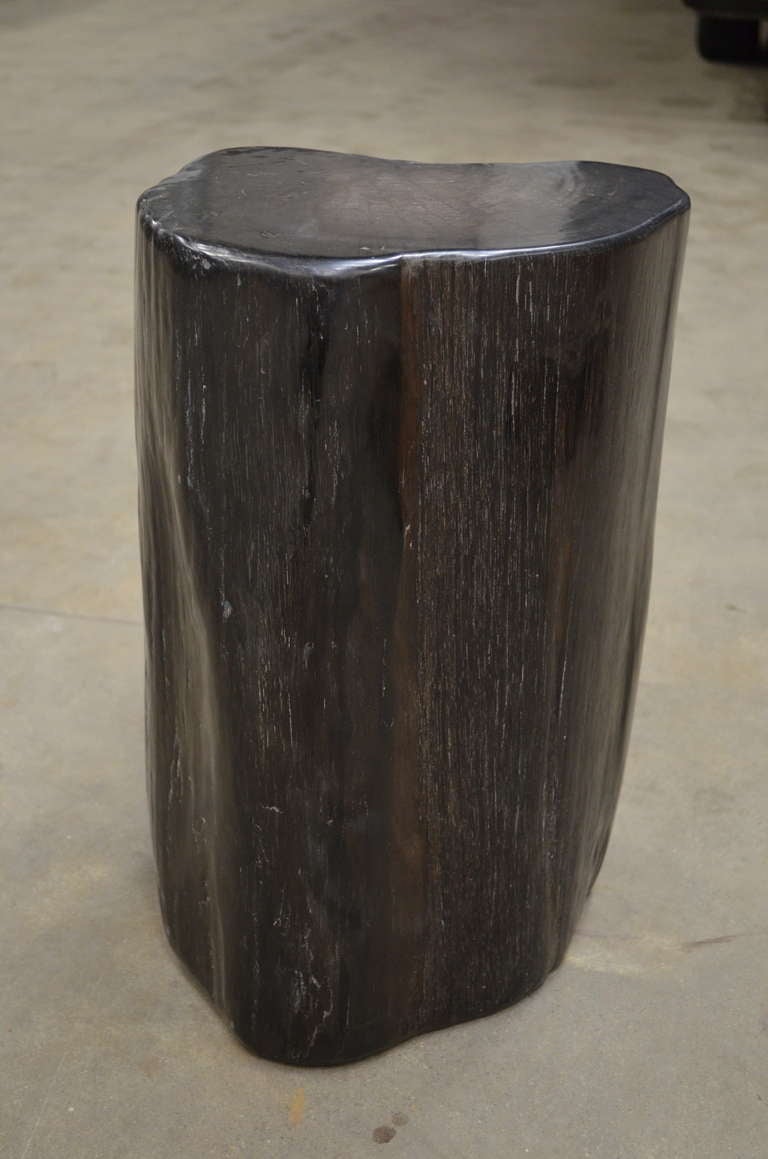 Petrified Wood Stool/Table Polished on the sides as well as the top