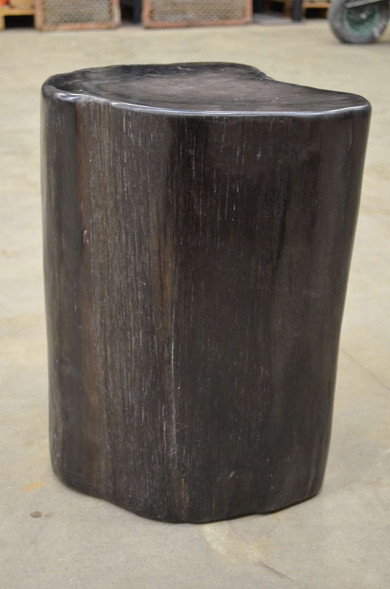 Indonesian Petrified Wood Stool/Table