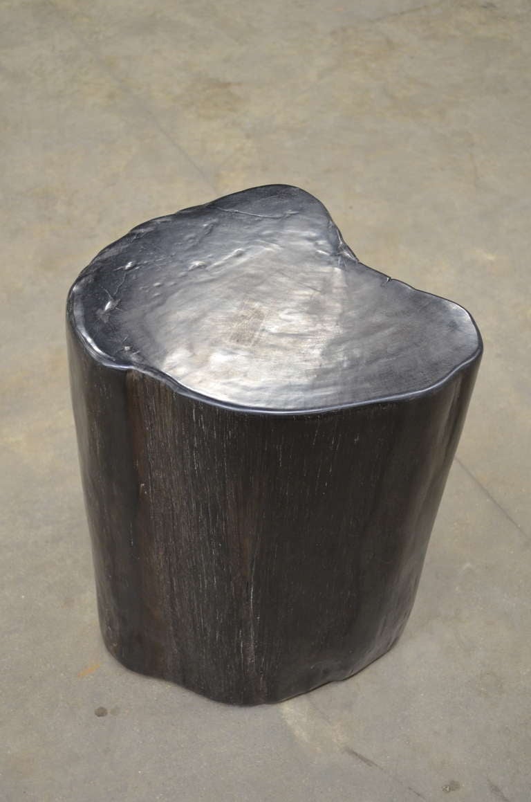 Petrified Wood Stool/Table 2